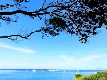 Agropoli: Tour di Punta Licosa in barca con pranzo