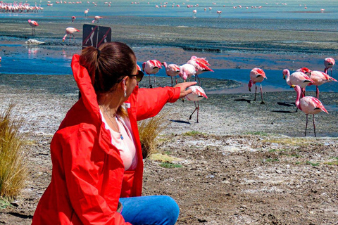 Private 3D excursion to the Salar de Uyuni, colorful lagoons