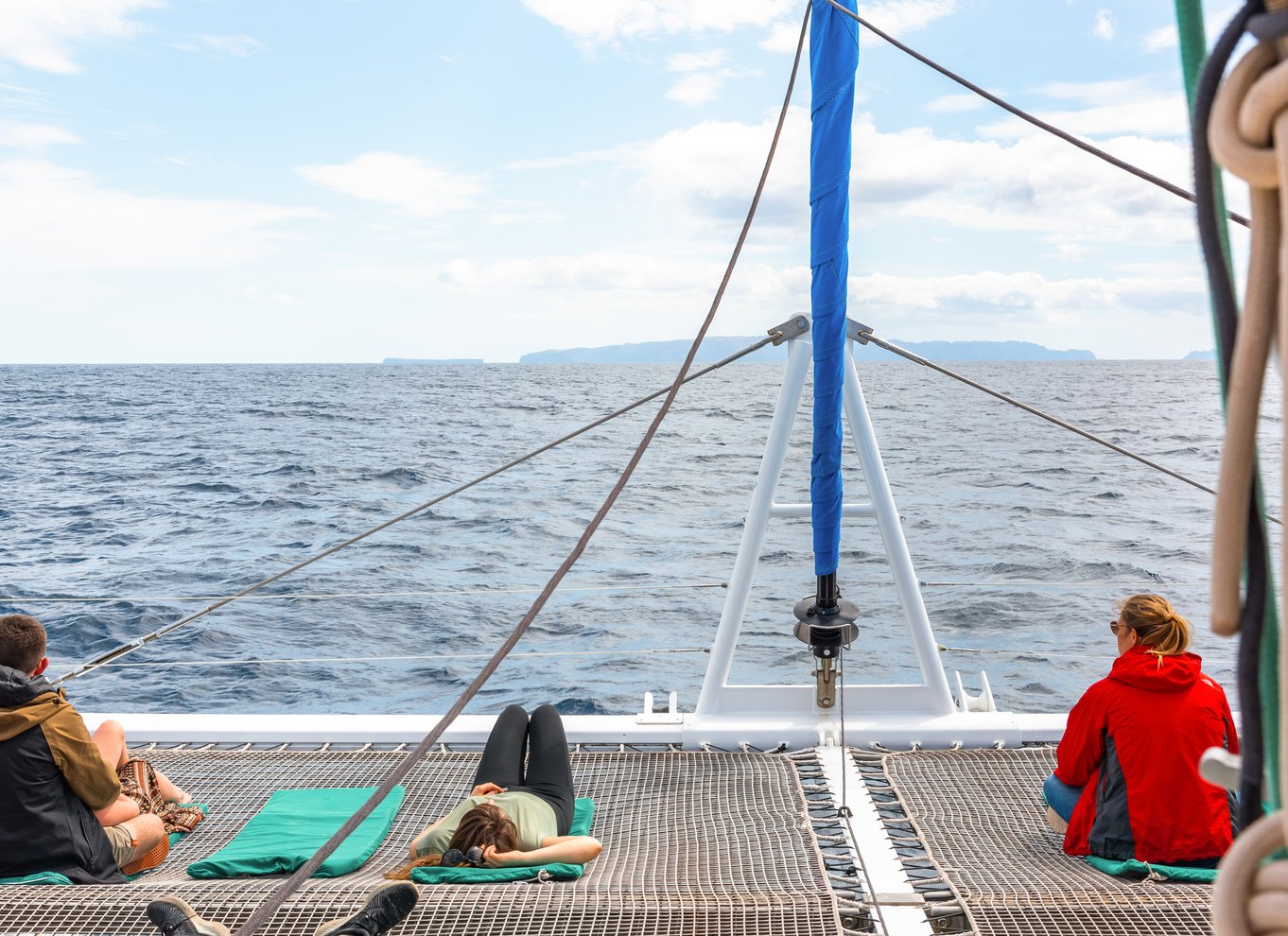 Fra Funchal: Delfin- og hvalsafari på Madeira