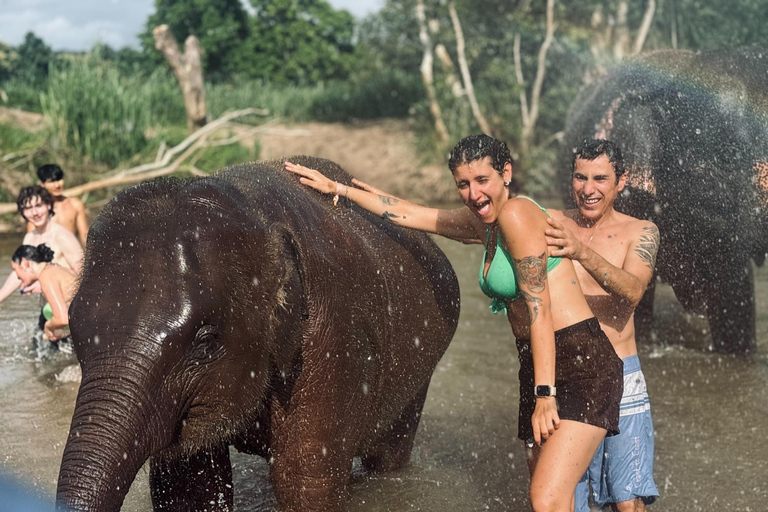 Chiang Mai: Elephant Sanctuary & Thai Cooking Workshop Meeting Point In Town