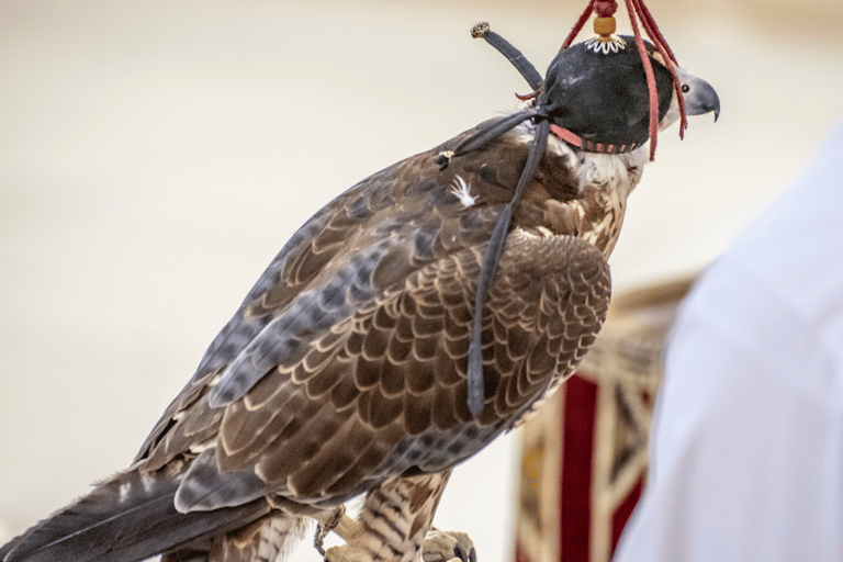 From Doha: Adventure Trip to the Desert