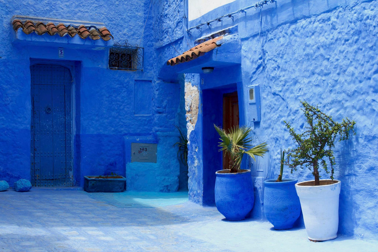 Tangier: Chefchaouen (Blue city) full day excursion English speaking driver and guide