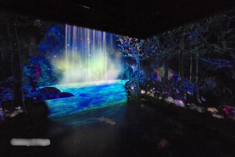 Tokyo: Harajuku "Kawaii" Pop Culture Shopping tour