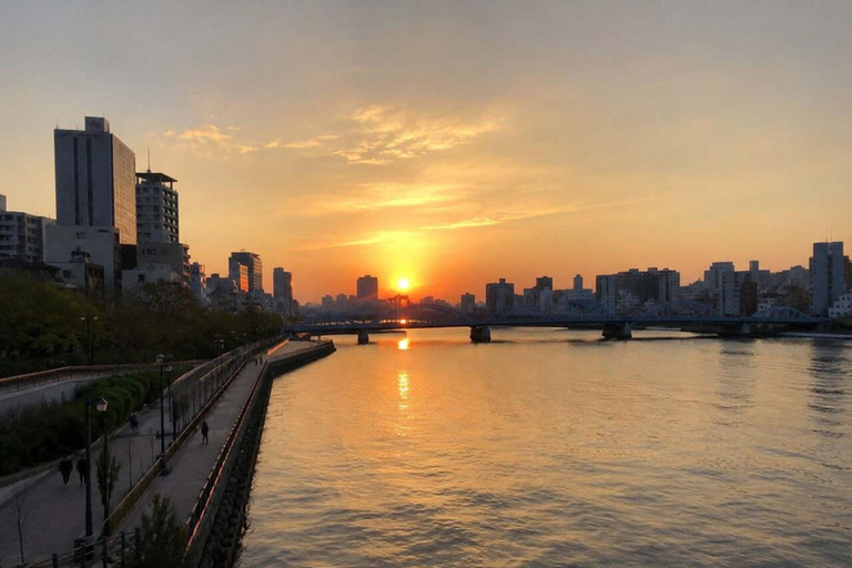 Tokyo: Asakusa Heritage Walk, Skytree & Sumida with Lunch
