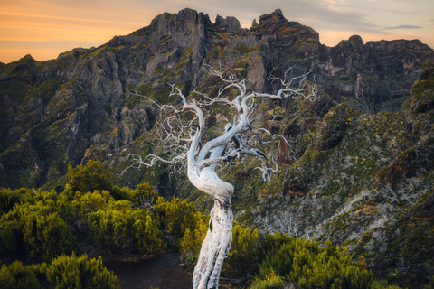 PR1/Pico do Arieiro tour with Premium transfer - round trip PR1/Pico do Arieiro tour transfer - round trip-Meeting point
