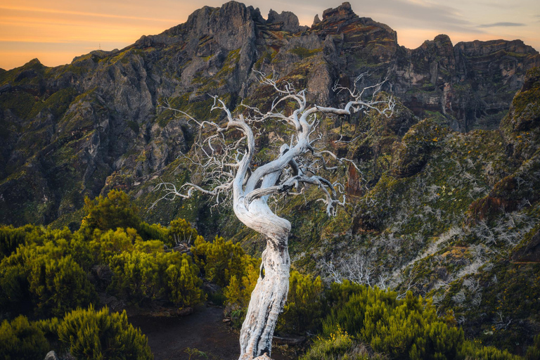 PR1/Pico do Arieiro tour with Premium transfer - round trip PR1/Pico do Arieiro tour transfer - round trip-Meeting point