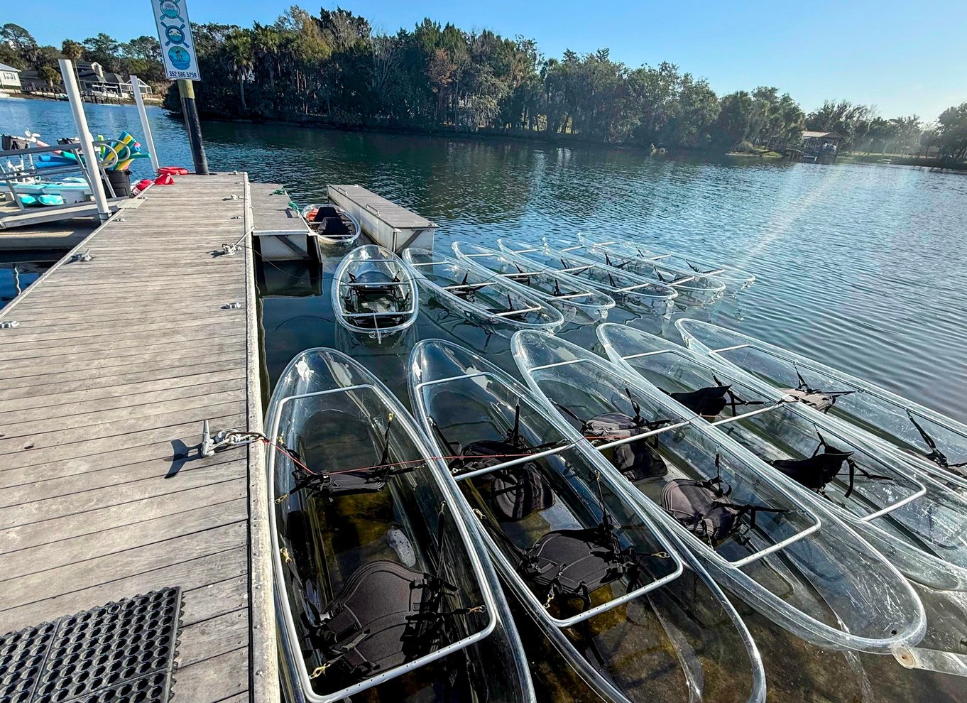 Crystal River: Three Sisters Springs Eco Tour med gennemsigtig kajak