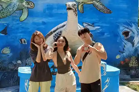 Bali: Turtle Conservation and Education Tour & Local Market