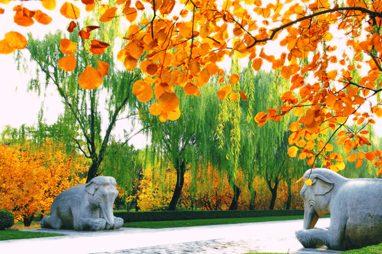 Beijing: Toegangsbewijs Ming Tombs