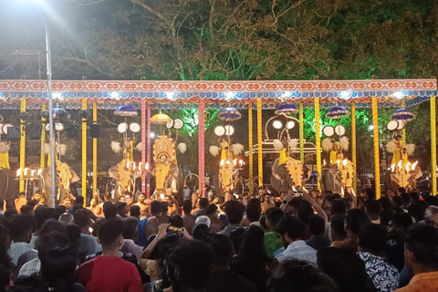 Kochi: Wycieczka po mieście