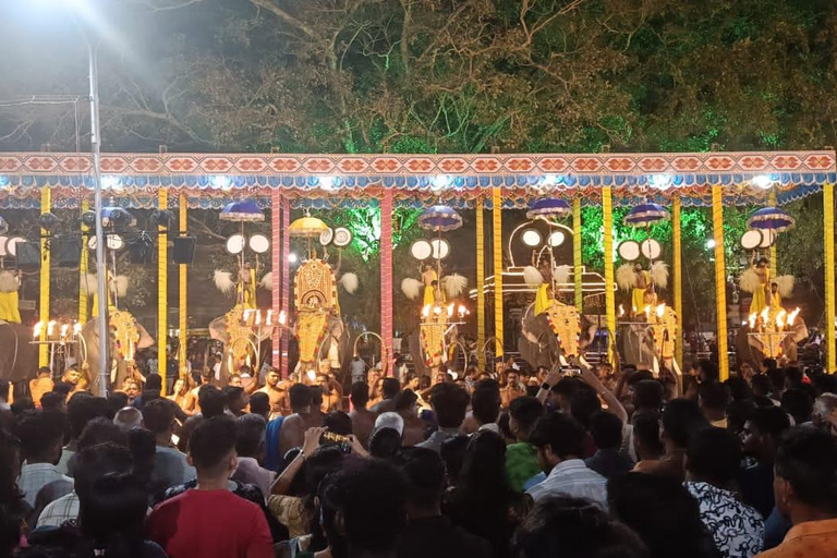 Kochi: Wycieczka po mieście