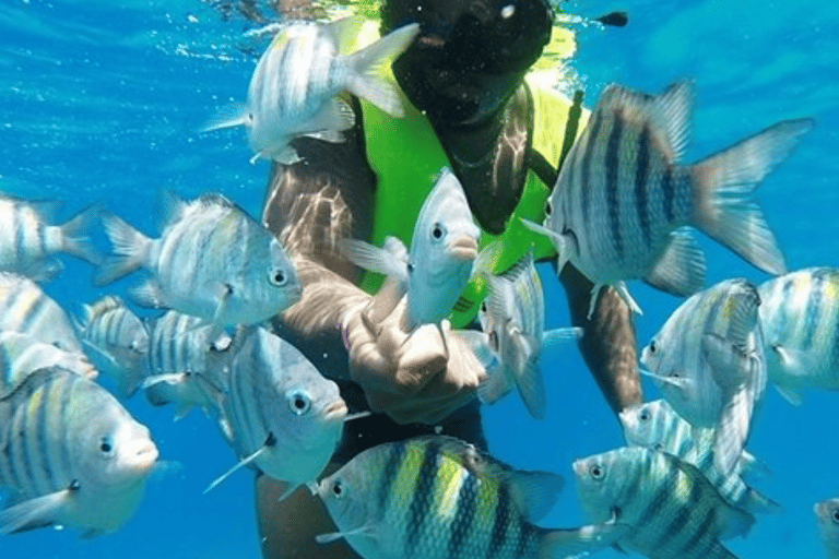 Private Sosua Catamaran Snorkeling Cruise & Lunch