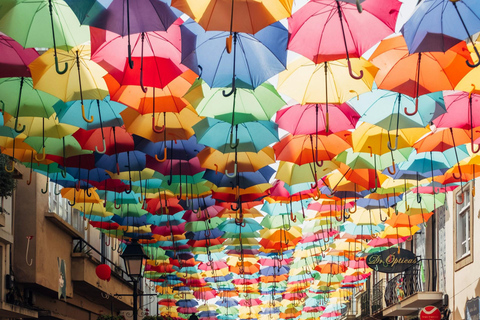 Top Portugal Tour: 7-Day with Transfers, Hotel & Breakfasts