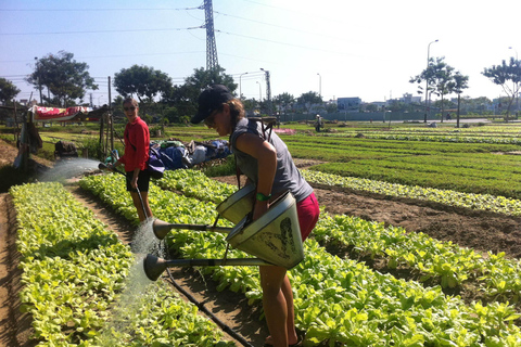 Hoi An: Excursión a la aldea de Tra Que y Clase de Fabricación de Linternas