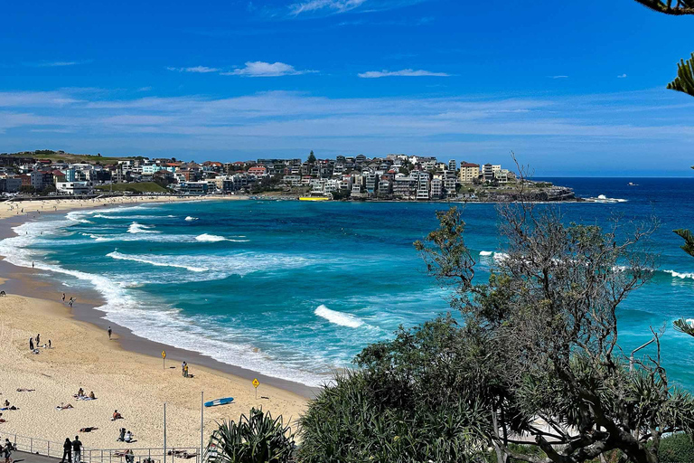 Private Sydney Beaches Escape Tour Private Group Tour