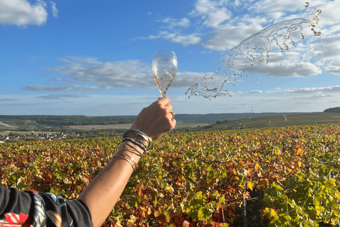 Depuis Paris : Journée vins à Sancerre avec dégustations