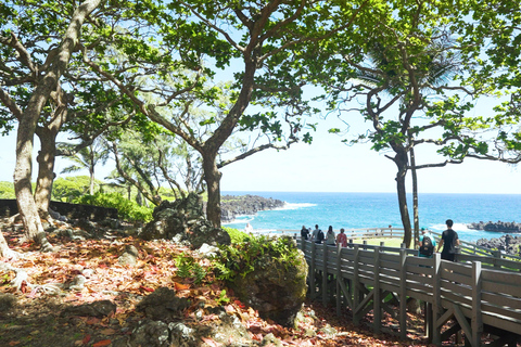 From Maui: Road to Hana Rainforest and Waterfall Experience