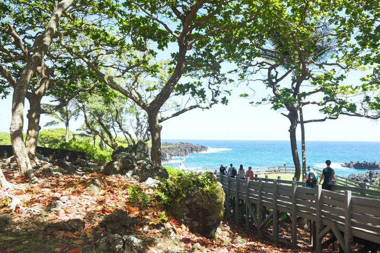 From Maui: Road to Hana Rainforest and Waterfall Experience