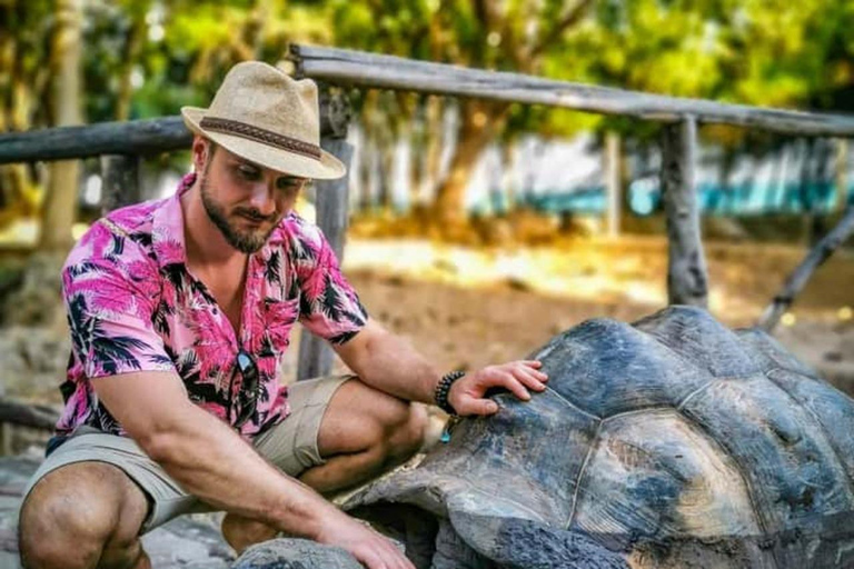 Sea Turtles Cave Conservation swimming & Prison Island Tour SEA TURTLES AND PRISON ISLAND