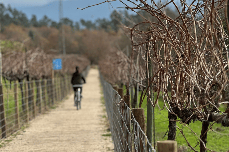Arcos de Valdevez: Bicycle rental