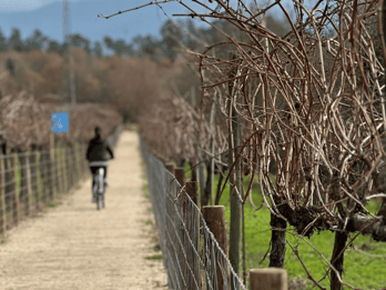 Bike tour with local guide (Arcos de Valdevez or National Park)