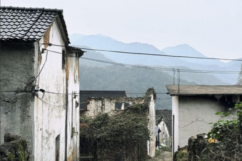 Shanghai: Tonglu Ancient Villages & Fruit-Picking Day Trip