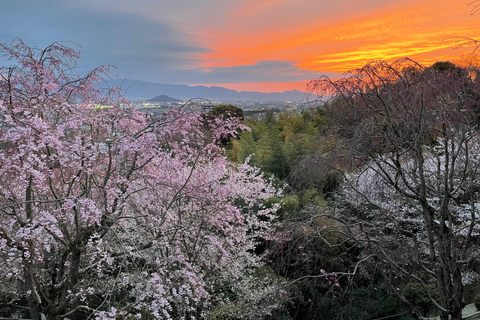 Asuka: Discover Origin of Japan–Historical Site and Nature