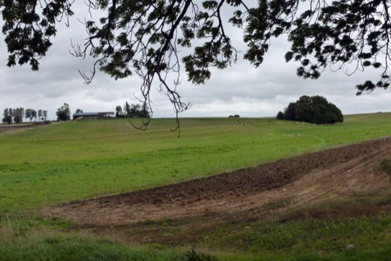 Amiens, Australian Imperial Force on the Somme in WWI