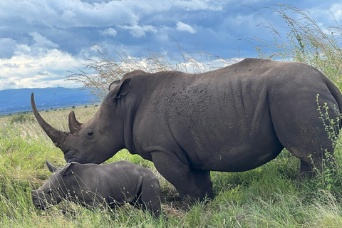 Nairobi National Park Half Day Guided Safaris in 4x4 Vehicle Private Half Day Guided Safaris in 4x4 Open roofed Van