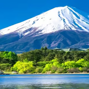 From Tokyo: Mount Fuji Full-Day Customizable & Private Tour