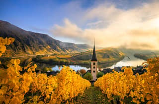 Von Wien aus: Wachau-Tagestour mit Weinprobe