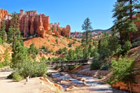 Parque Nacional Bryce Canyon, Tour Guided ATV/RZR - Housity