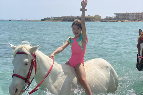 Hurghada: Swimming & Horse riding with FREE Photos & Videos 2-Hour Horse Swimming & Photos with Transfer