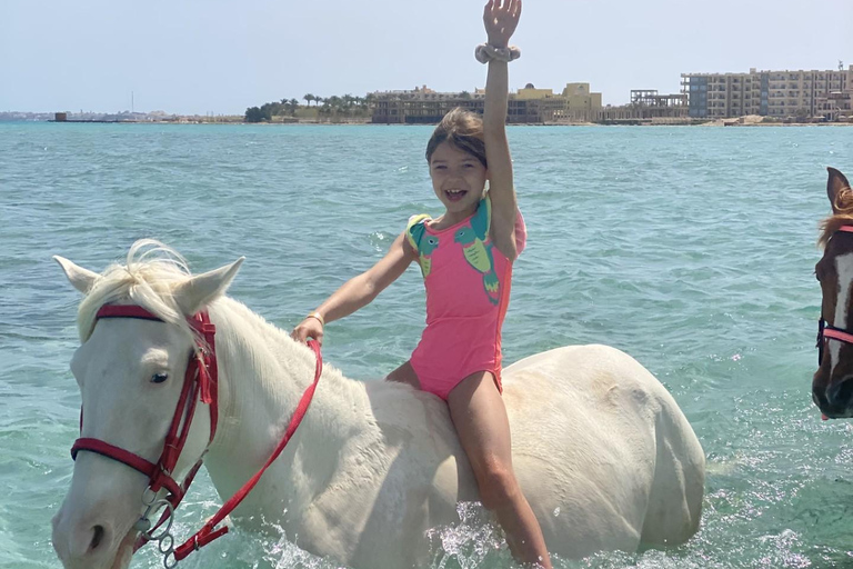 Hurghada: Swimming & Horse riding with FREE Photos & Videos 2-Hour Horse Swimming & Photos with Transfer