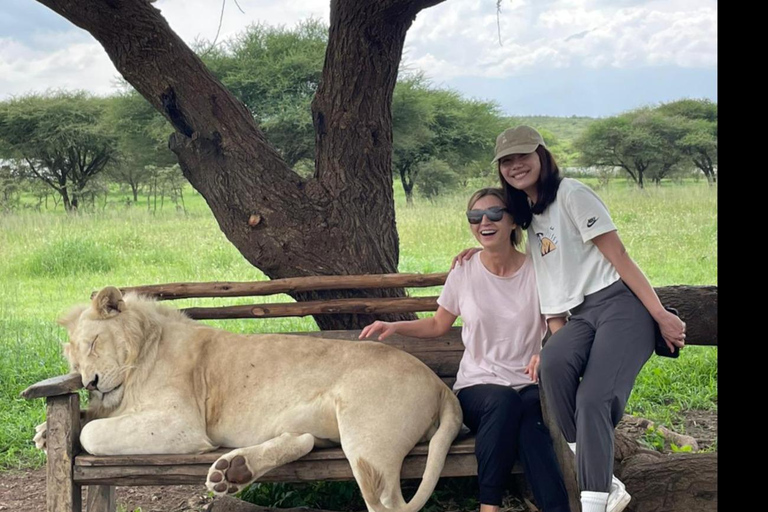 Arusha : Safari de 5 jours à la découverte des « Big Five » en TanzanieGroupe - Aventure safari en Tanzanie à la découverte des Big Five