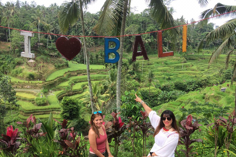 Ubud: Foresta di scimmie, terrazze di riso e cascateUbud: Foresta di scimmie, terrazza di riso e cascata