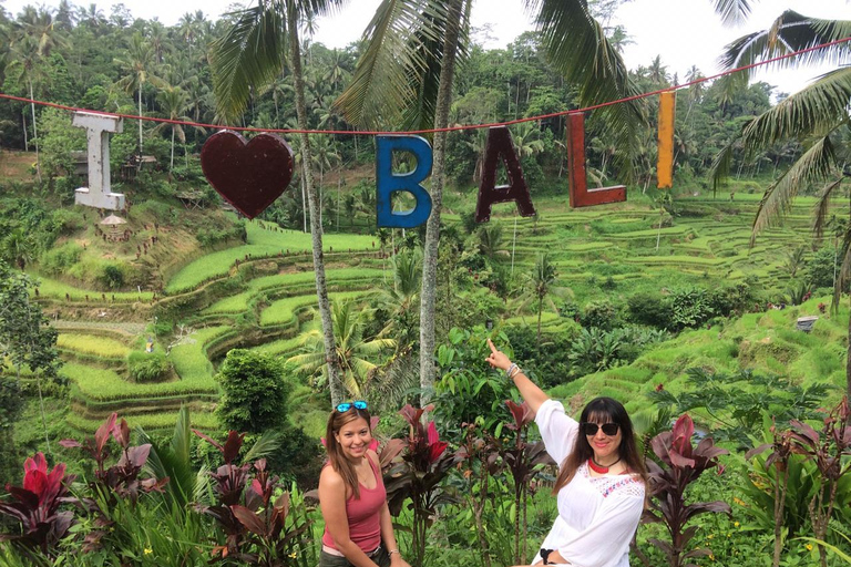Ubud: Foresta di scimmie, terrazze di riso e cascateUbud: Foresta di scimmie, terrazza di riso e cascata