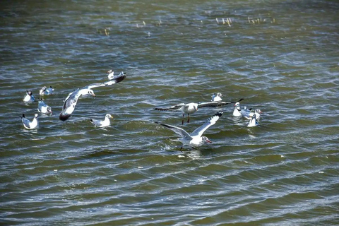 Circuit panoramique privé de Lijiang à Shangri-La HuXiang Road
