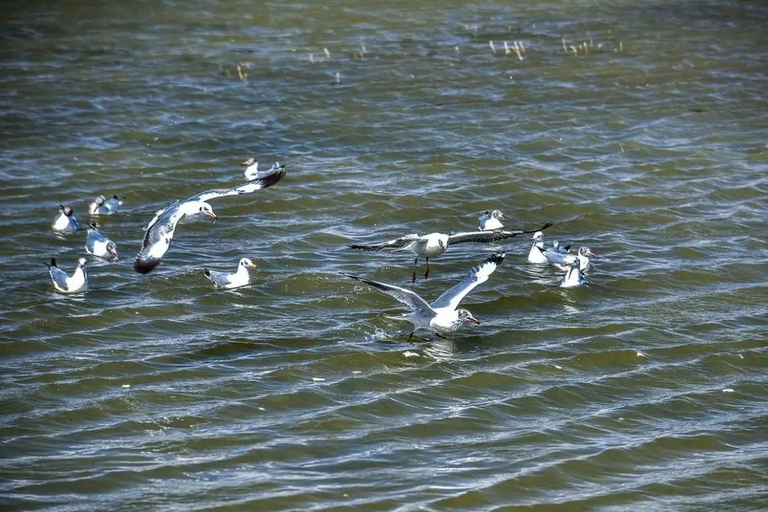 Circuit panoramique privé de Lijiang à Shangri-La HuXiang Road