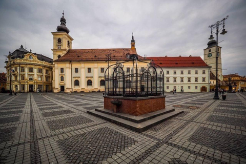 Brașov: Dumbrava Sibiului Museum & Sibiu Day Trip