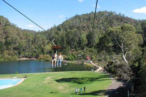 Hobart: Cataract Gorge and Grindelwald Day Tour