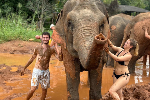 Chiang Mai: Santuario de Elefantes, Cascada y Excursión en RaftingServicio de recogida del hotel