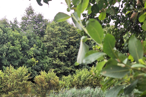 Utrecht Canoe Escape: Nature, Birds & Local Tastes