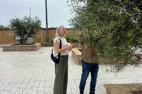 Katakolo: Olympia Tour, Olive Grove & Greek Cooking