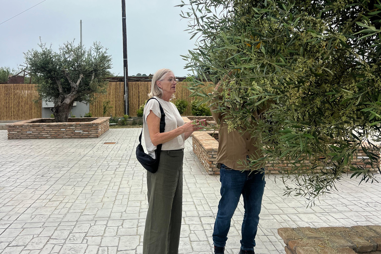 Katakolo: Olympia Tour, Olive Grove & Greek Cooking