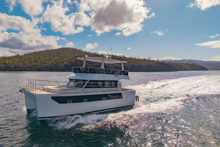 Hobart 3-Hour Fishing Yacht Cruise with Gear & Bait