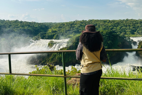 乌干达：3 天默奇森瀑布野生动物园之旅，追踪犀牛乌干达：3 日默奇森瀑布野生动物园之旅，追踪犀牛