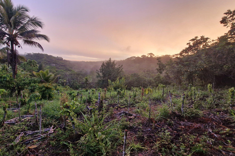 Itacaré: Maraú - 5-Day Silence and Purification Retreat