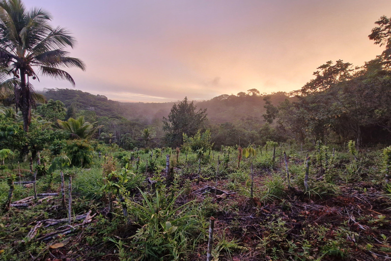 Itacaré: Maraú - 5-Day Silence and Purification Retreat