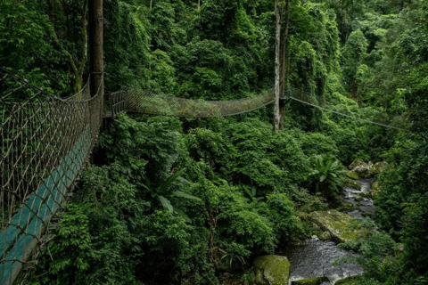 Muang Xay: 3-Day Oudomxay, Nongkho, & Luang Prabang Tour